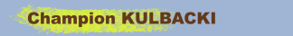 Champion KULBACKI 